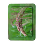 Hoe de gras flexibel magneet groeit (Verticaal)