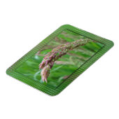 Hoe de gras flexibel magneet groeit (Linkerzijde)