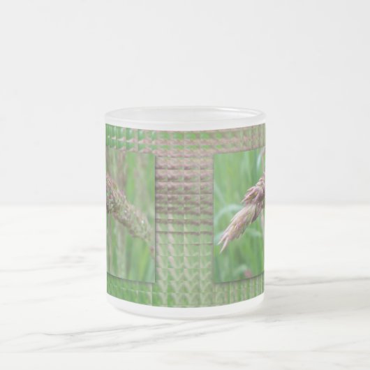 Hoe de gras Mok groeit (Center)