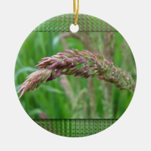 Hoe de gras ornament wordt (Voorkant)