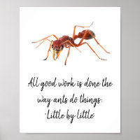 Hoe de mieren werken