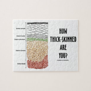 Hoe dik ben je? (Epidermislagen) Legpuzzel