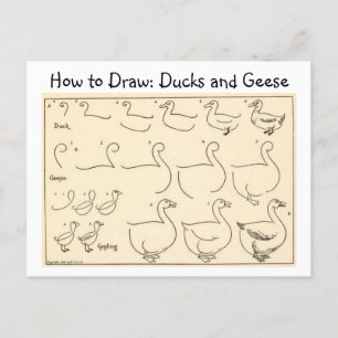 Hoe een Duck and Goose  Briefkaart te tekenen