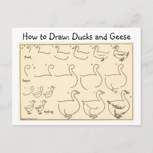 Hoe een Duck and Goose Briefkaart te tekenen (Voorkant)