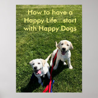 Hoe een gelukkig leven te hebben...begin met Happy Poster