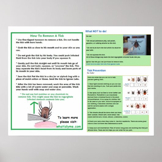 Hoe een Tik-Poster verwijderen voor de bewustwordi Poster (Voorkant)