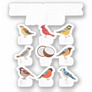 Hoe een vogel te identificeren Grappige vogel kijk Sticker