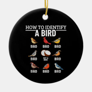 Hoe een vogel te identificeren Grappige vogelspott Keramisch Ornament