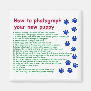 Hoe fotografeer je nieuwe puppy magneet