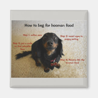 Hoe Funny Dog te bedelen Magneet