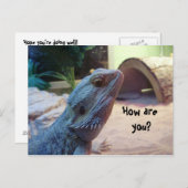 Hoe gaat het? briefkaart (Voorkant / Achterkant)