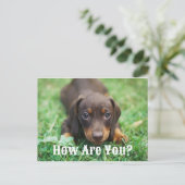 Hoe gaat het met je Briefkaart (Staand voorkant)