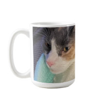 Hoe gaat het met je katachtige?