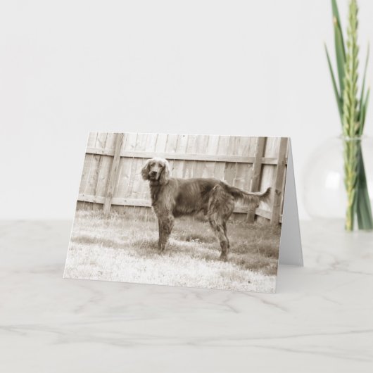 Hoe gaat het met jou? kaart (Voorkant)