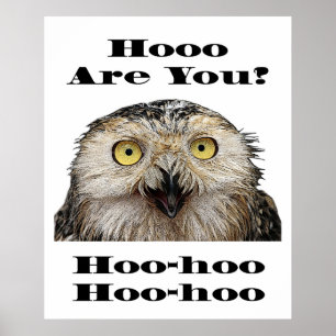 Hoe gaat het? Wie ben jij? Poster