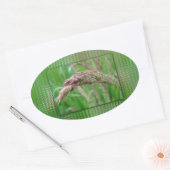 Hoe het gras Stickers kweekt (Envelop)