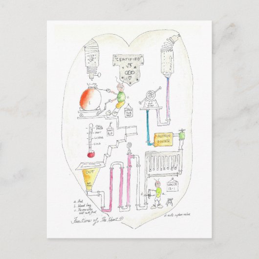 Hoe het hart werkt briefkaart (Voorkant)