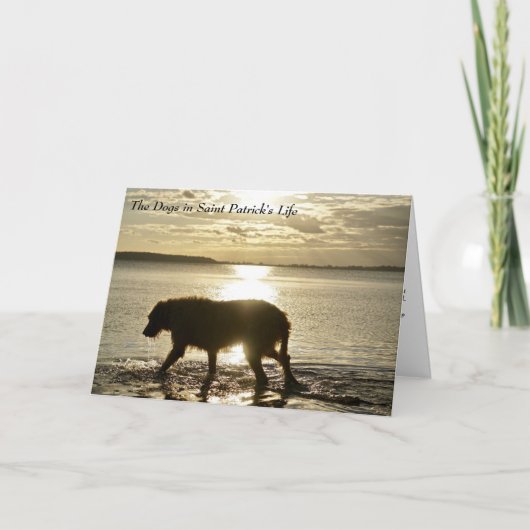 Hoe Honden St. Patrick geïnspireerd hebben Kaart (Voorkant)