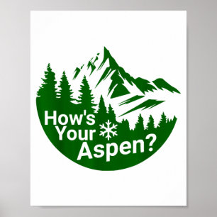 Hoe is espen_ grappig espen colorado ski skien gra poster