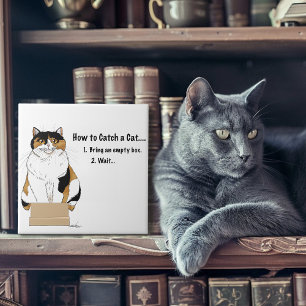 Hoe je een kat vangt tegeltje