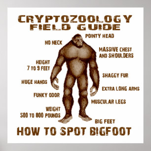 HOE KAN BIGFOOT WORDEN GESTOPT - Cryptozoölogy Fie Poster