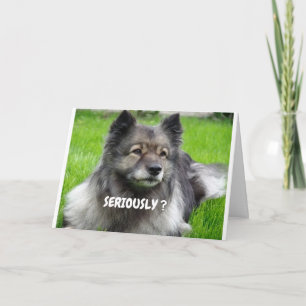 HOE KIJK JE ZO JONG TWIN ZEGT CUTIE PUP KAART