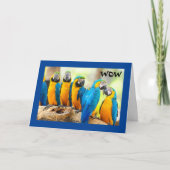 HOE KOOL IS DAT? KAART (Voorkant)