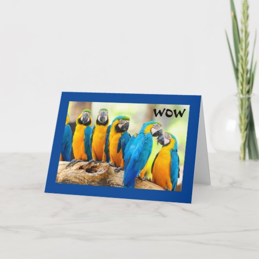 HOE KOOL IS DAT? KAART (Voorkant)