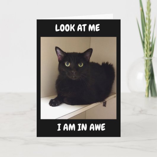 HOE KUNT U "50" KEREN? KAART (Voorkant)