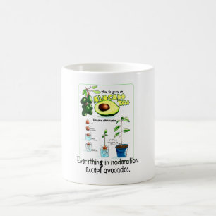 Hoe maak je een avocado boom groeien koffiemok