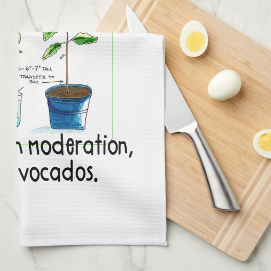 Hoe maak je een avocado boom groeien theedoek (Quarter Fold)