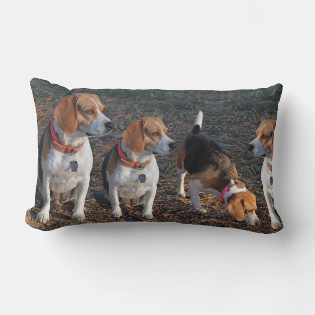 Hoe meer de Merrier Beagle Kussen (Voorkant)