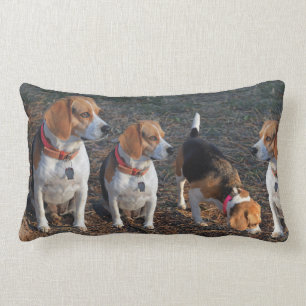 Hoe meer de Merrier Beagle Kussen