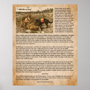 Hoe Mercy Dogs WWI-soldaten op slagvelden heeft ge Poster