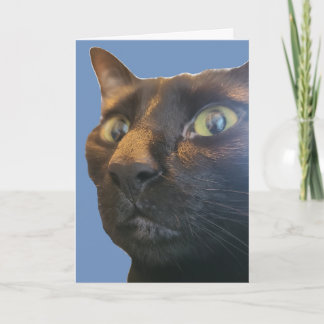 Hoe oud ben jij? Verjaardagskaart Kaart