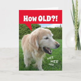 Hoe OUD? Laughing Golden Retriever Dog Birthday Kaart
