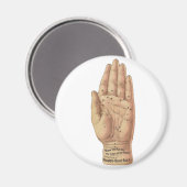 Hoe palmen te lezen magneet (Voorkant / Achterkant)