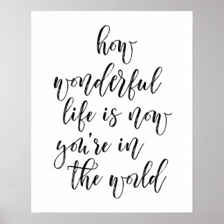 Hoe prachtig is het leven nu jij op de wereld bent poster