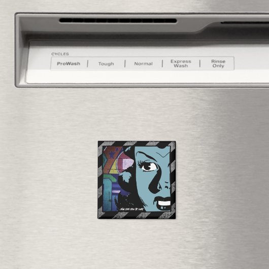 Hoe weet je het zeker? magneet (Insitu (Vaatwasser))