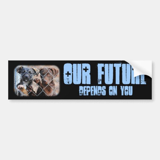 Hoe zit het met ons? Bumpersticker (Voorkant)
