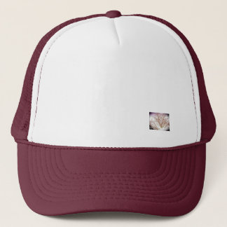 Hoed Trucker Pet