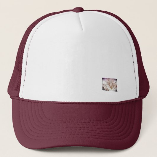 Hoed Trucker Pet (Voorkant)