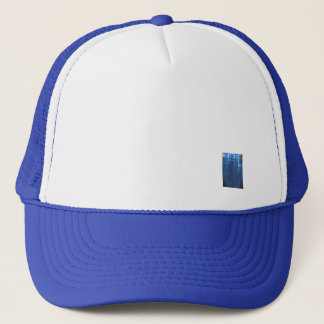 Hoed Trucker Pet