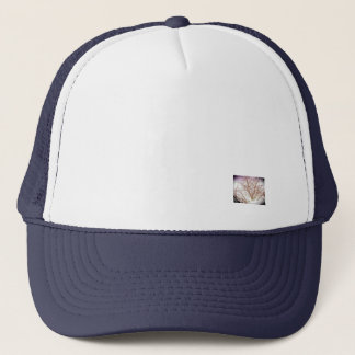 Hoed Trucker Pet