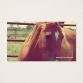 Hoefijzer Acres Soft Focus Sorrel Visitekaartje (Achterkant)