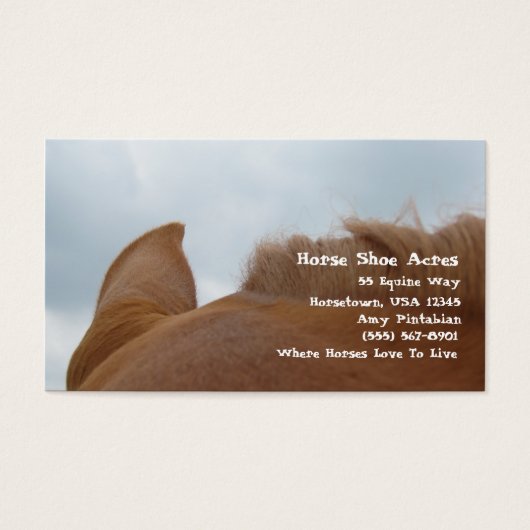 Hoefijzer Acres Sorrel Horse Visitekaartjes (Voorkant)