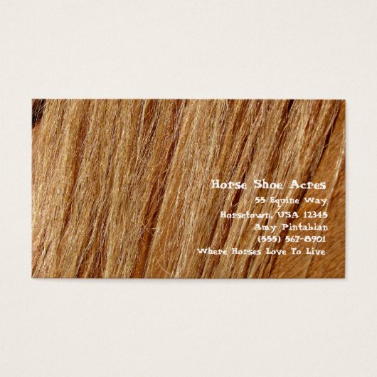 Hoefijzer Acres Sorrel Mane Visitekaartjes (Voorkant)