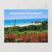 Hoefijzer Bay Beach, Bermuda Briefkaart (Voorkant)