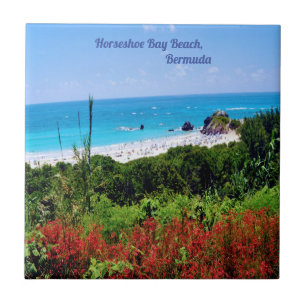 Hoefijzer, Bay Beach, Bermuda Tegeltje