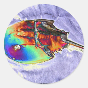 Hoefijzer Crab Foil-ontwerp Ronde Sticker